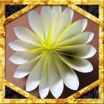 折り紙で菊の花の折り方！簡単立体的な作り方を紹介